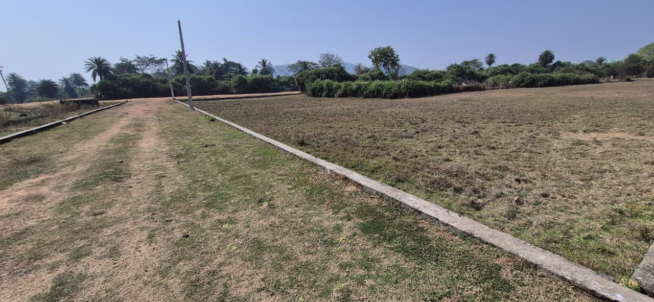 7197e42a-173e-4d7e-96f1-9e75f150f812