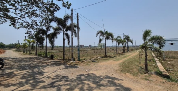 Plot near ambapua